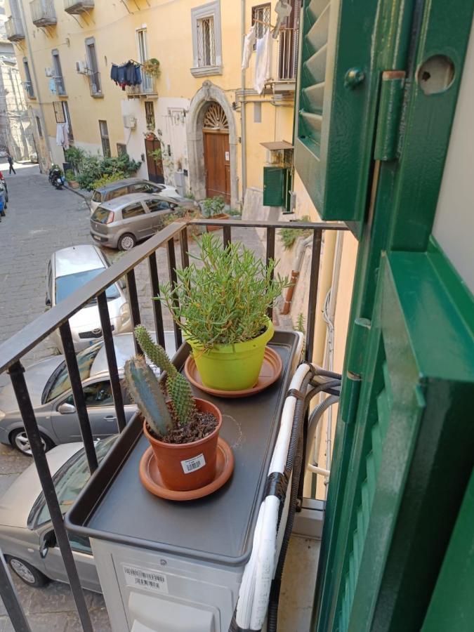 Domusmadre Daire Napoli Dış mekan fotoğraf